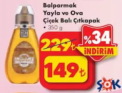 BALPARMAK YAYLA VE OVA ÇİÇEK BALI ÇITKAPAK 350 G